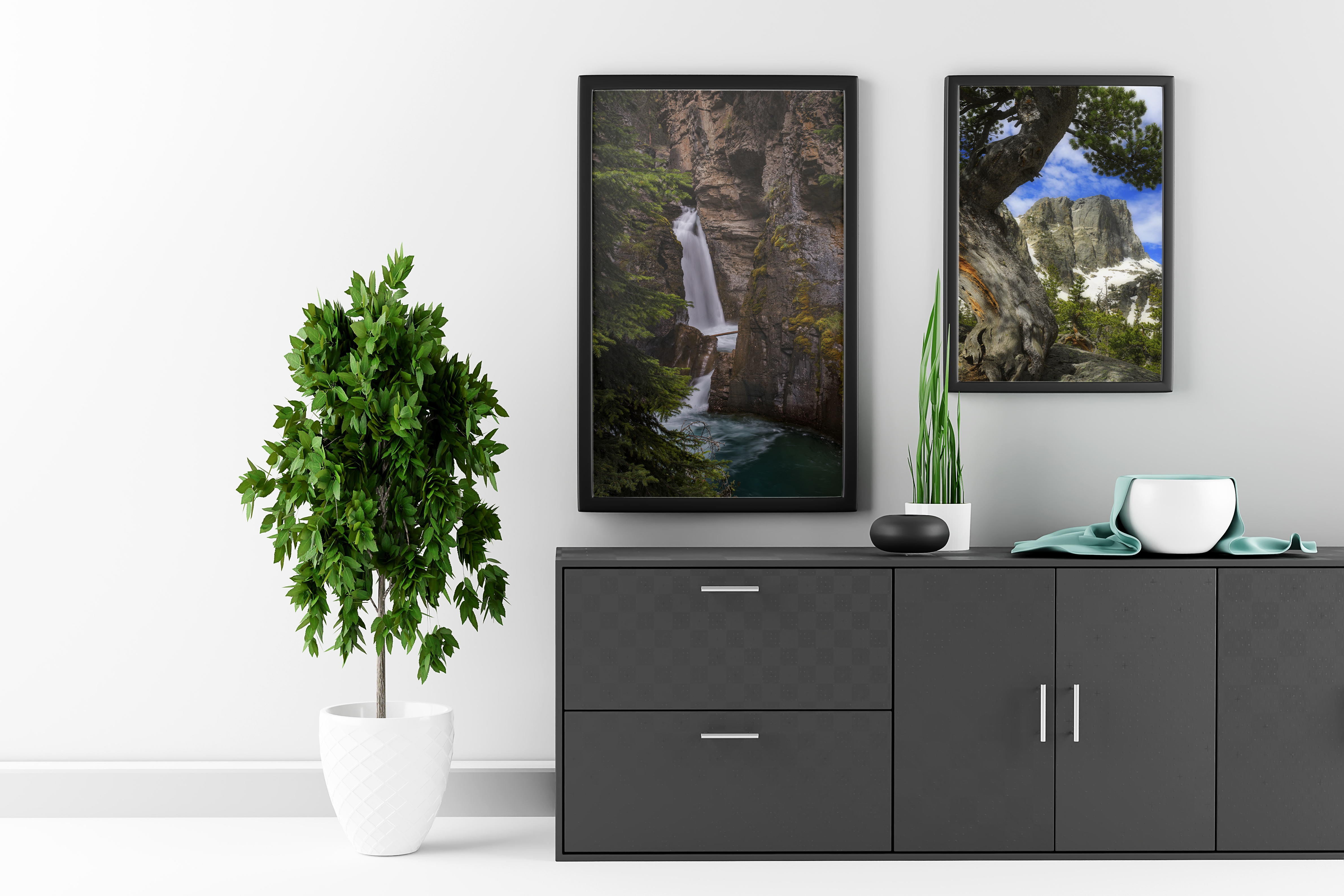 Nature framed art prints in office by Dan Sproul